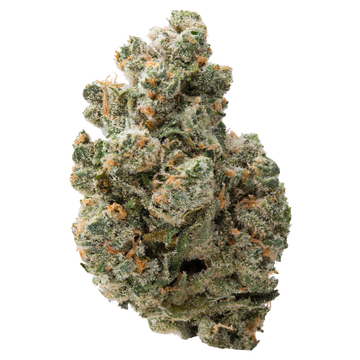 Jack Herer THCa Flower