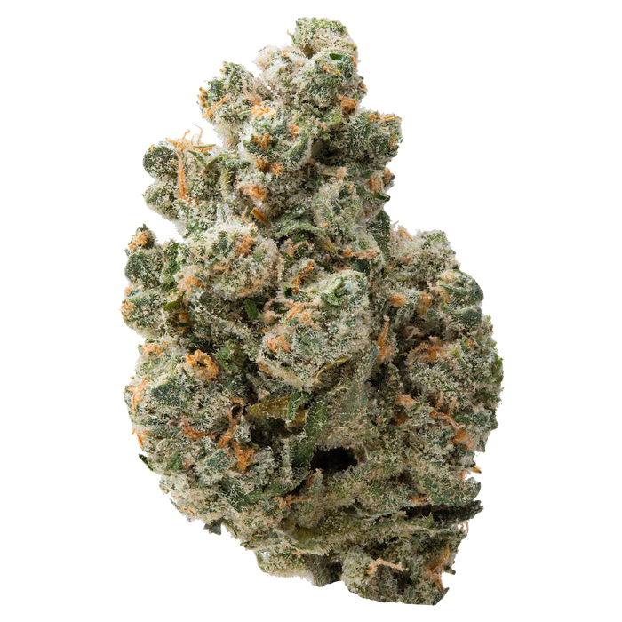 Jack Herer THCa Flower
