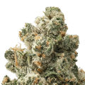 Jack Herer THCa Flower 