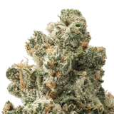 Jack Herer THCa Flower