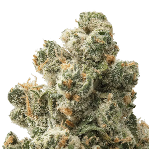 Jack Herer THCa Flower 
