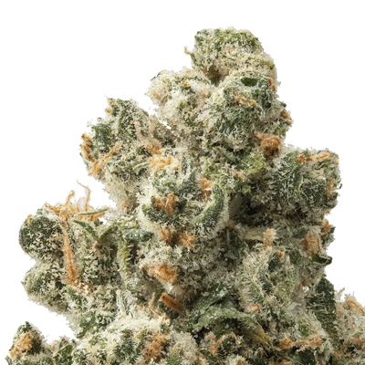Jack Herer THCa Flower