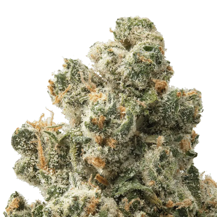 Jack Herer THCa Flower 
