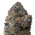Jelly Cake THCa Flower macro