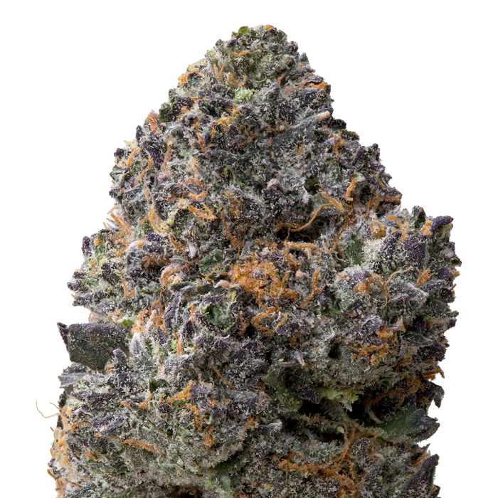 Jelly Cake THCa Flower macro