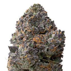 Jelly Cake THCa Flower macro