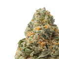 Jet Fuel Runtz close up