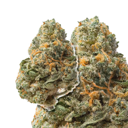 Jet Fuel Runtz compared