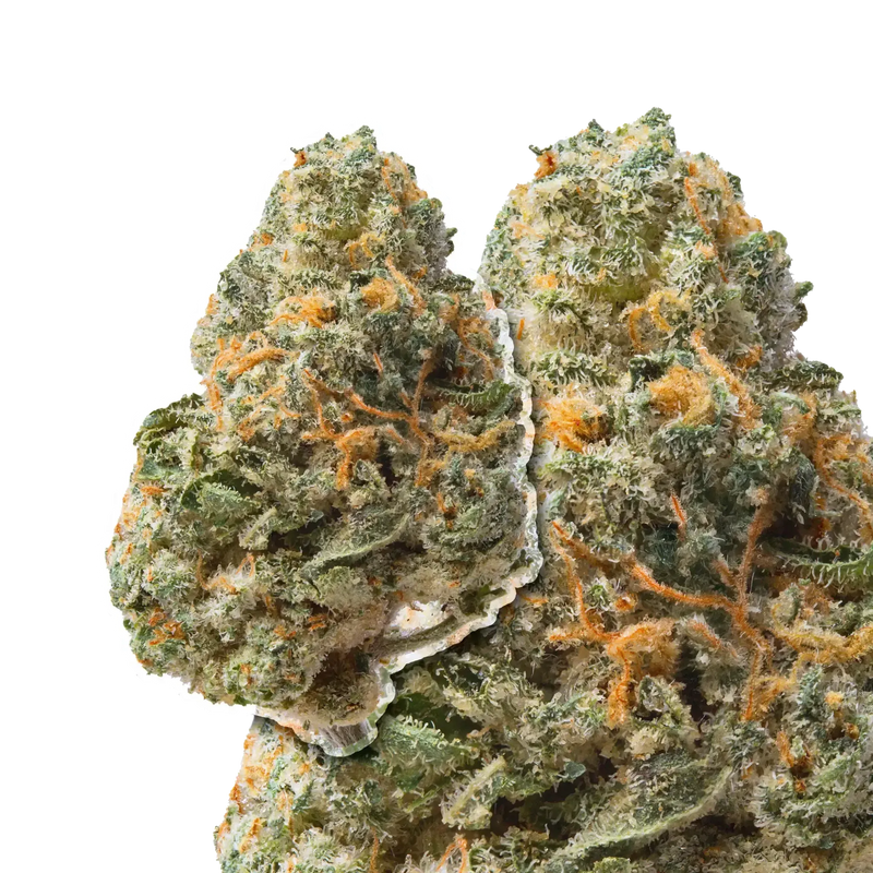 Jet Fuel Runtz compared