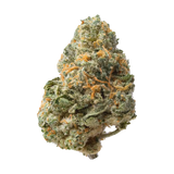 Jet Fuel Runtz THCa Flower
