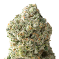 Juicy J macro