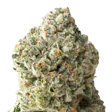 Juicy J macro