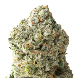 Juicy J macro