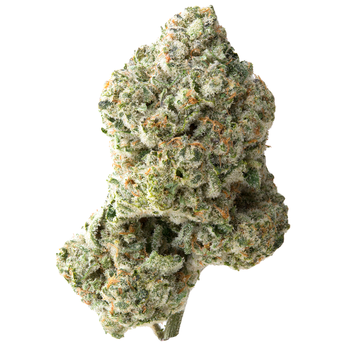 Juicy J harvested flower, as labeled by the cited photo source