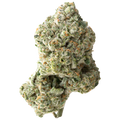 Juicy J nug