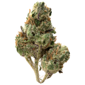 Lemon Cherry Gelato Greenhouse Smalls THCa Flower | 28 Grams 