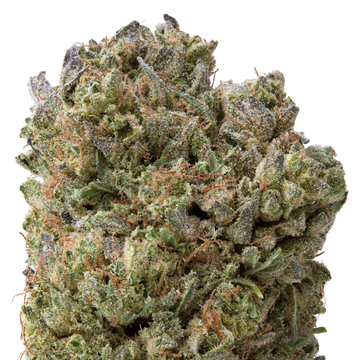 Lemon Cherry Gelato THCa Flower