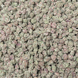 Lemon Cherry Gelato Smalls  THCa Flower