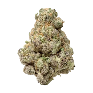 Lemon Cherry Gelato THCa Flower 