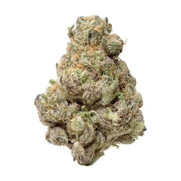 Lemon Cherry Gelato THCa Flower supergreenshempco