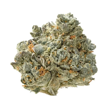 Lemon Pound Cake Smalls THCa Flower supergreenshempco