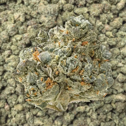 Lemon Pound Cake Smalls THCa Flower supergreenshempco