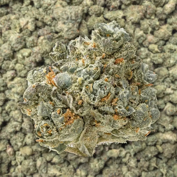 Lemon Pound Cake Smalls THCa Flower supergreenshempco