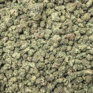 Lemon Pound Cake Smalls THCa Flower supergreenshempco