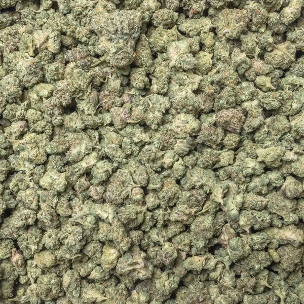 Lemon Pound Cake Smalls THCa Flower supergreenshempco