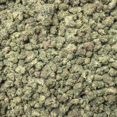 Lemon Pound Cake Smalls THCa Flower supergreenshempco