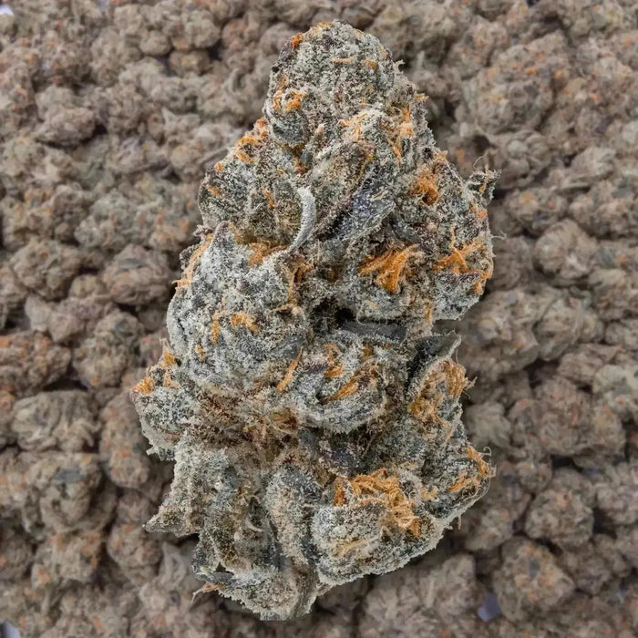 Lemon Cherry Belts THCa Flower supergreenshempco