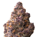 mob macro