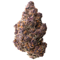 mob nug