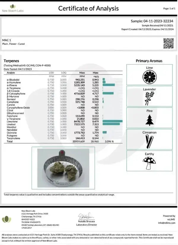 Mac (Miracle Alien Cookies) Smalls THCa Flower Ounce supergreenshempco