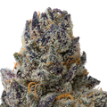 Milk D THCa Flower