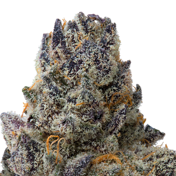 Milk D THCa Flower
