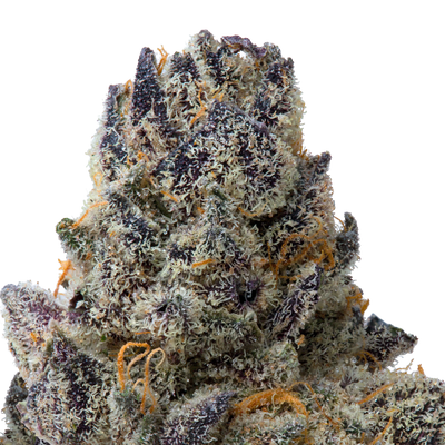 Milk D THCa Flower