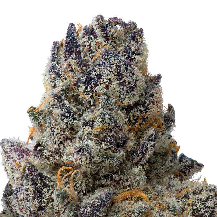 Milk D THCa Flower