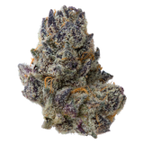 Milk D THCa Flower