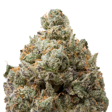 Milk Chocolate Runtz THCa Flower macro