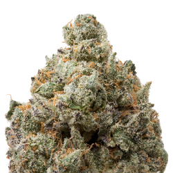 Milk Chocolate Runtz THCa Flower macro