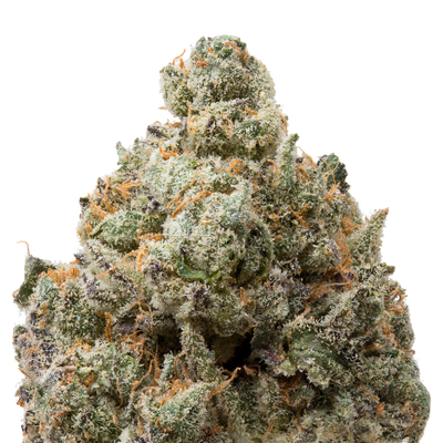 Milk Chocolate Runtz THCa Flower