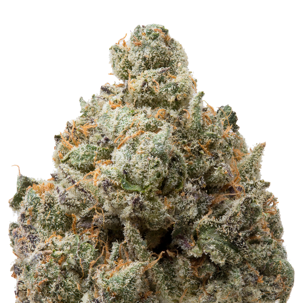 Milk Chocolate Runtz THCa Flower macro