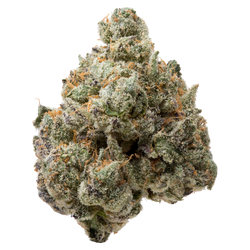 Milk Chocolate Runtz THCa Flower nug