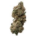 Morning Glory THCa Flower 
