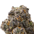Motor Breath Exotic THCa Flower macro