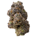 Motor Breath Exotic THCa Flower nug