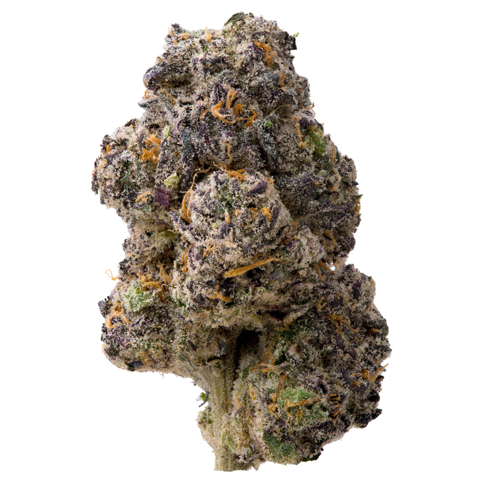 Motor Breath Exotic THCa Flower nug