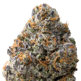 Night Walker THCA Flower