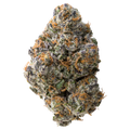 Night Walker nug